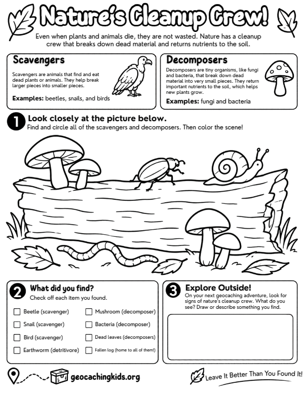 First-page preview of Nature’s Cleanup Crew! – Scavengers & Decomposers Worksheet for Kids