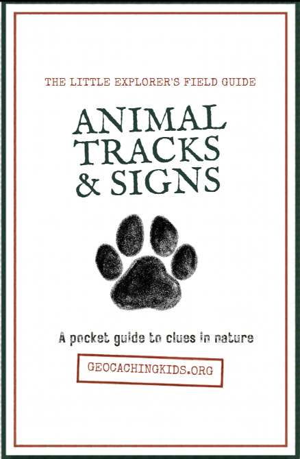 First-page preview of Animal Tracks & Signs – Printable Mini-Zine