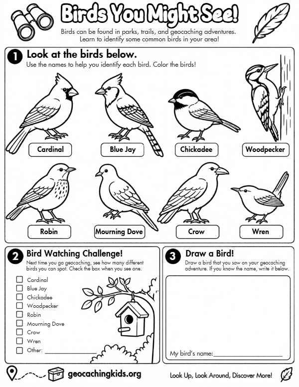 First-page preview of Birds You Might See! – Birdwatching & Coloring Worksheet