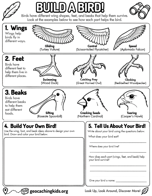 First-page preview of Build a Bird! – Creative Bird Anatomy & Design Worksheet for Kids